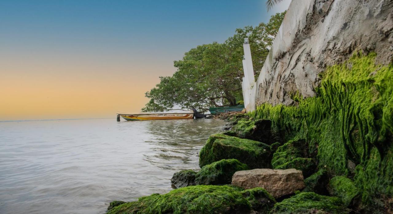 Hiru Lagoon Negombo Zewnętrze zdjęcie